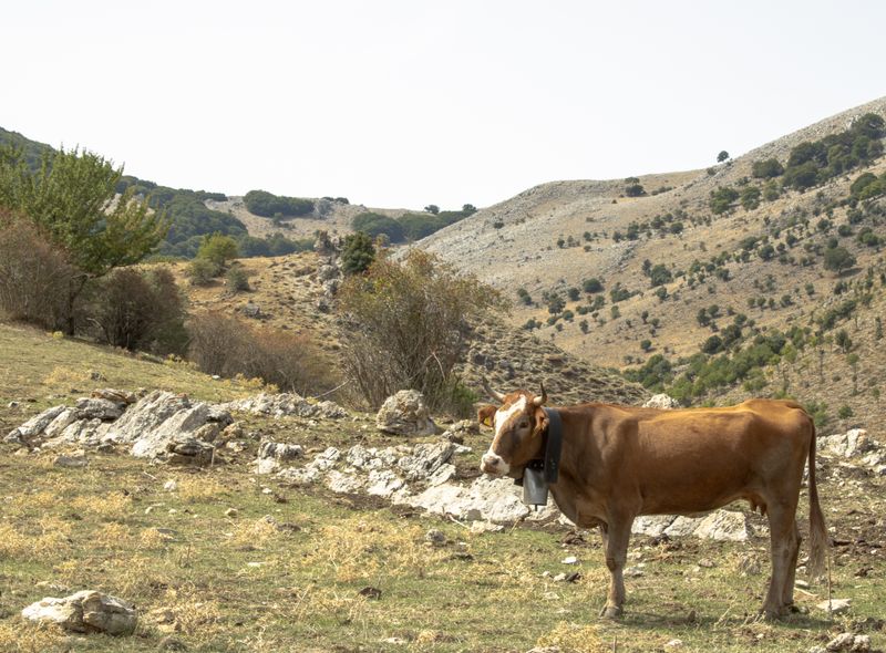 trekking Le madonie