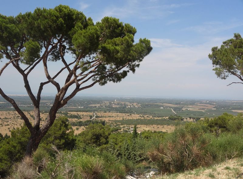 Groepsreis Italië Puglia