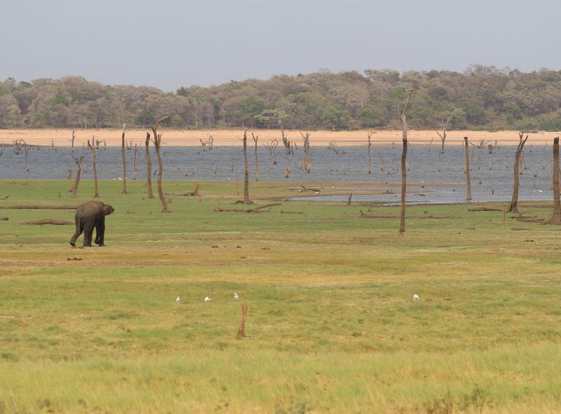 Sri Lanka