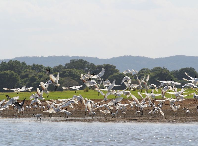 Sri Lanka
