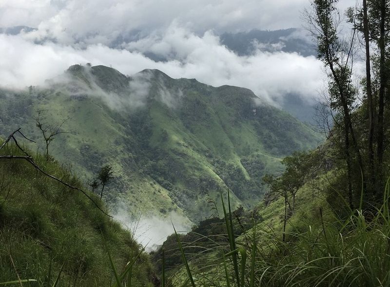 Sri Lanka Zuid-Azië rondreis natuur