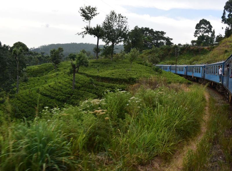Sri Lanka