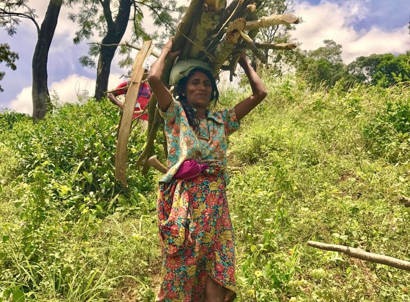 Sri Lanka Zuid-Azië rondreis local