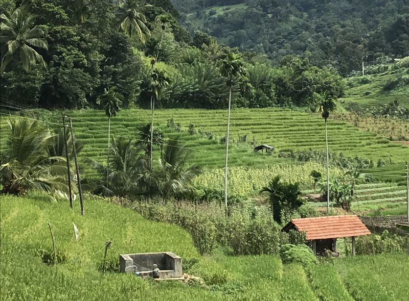 Sri Lanka