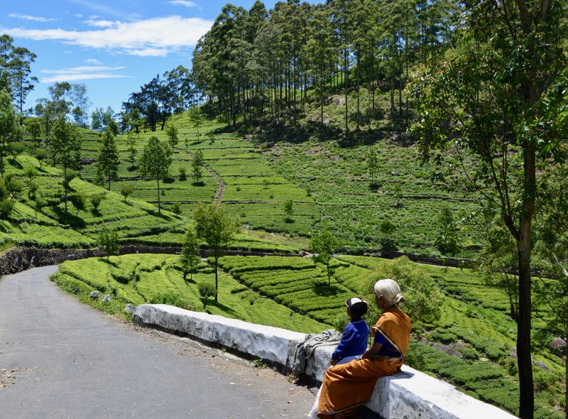 Groepsreis Sri Lanka