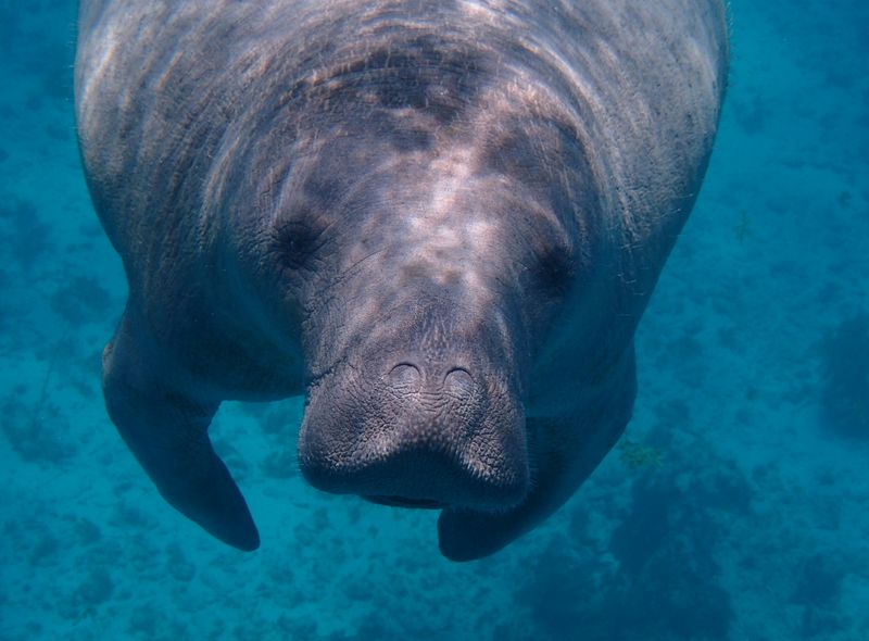 Groepsreis USA - Florida