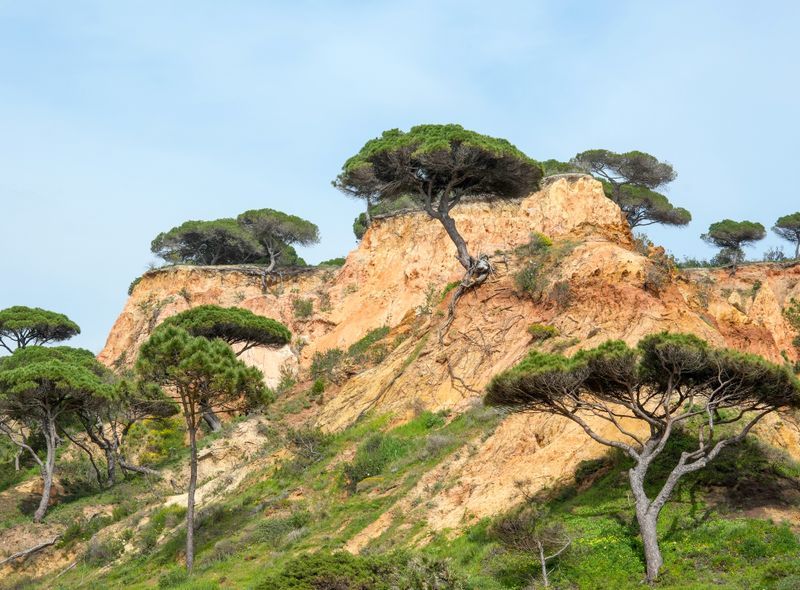 Groepsreis Portugal Algarve