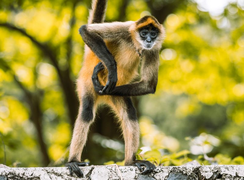 Groepsreis Nicaragua