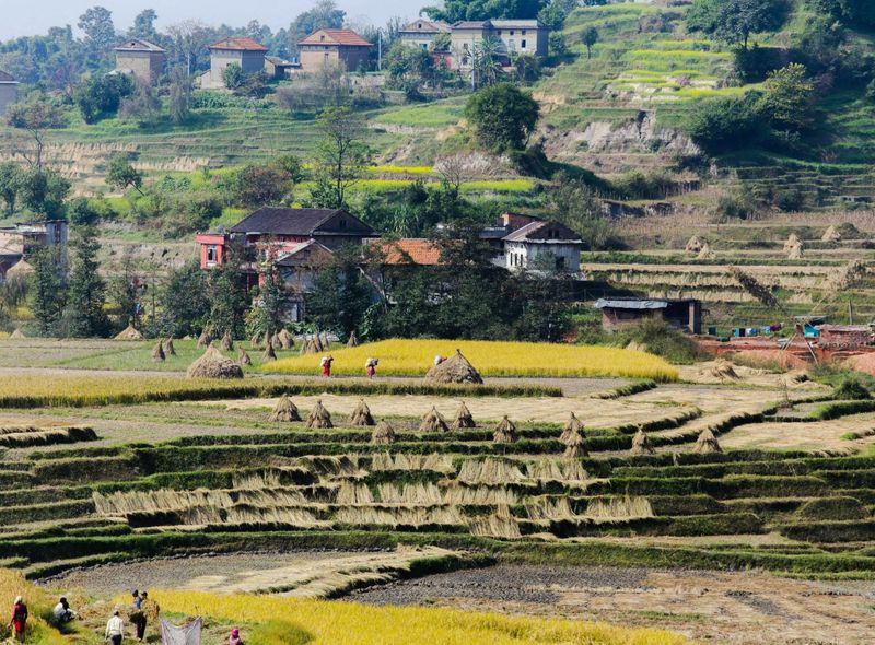 Countrylife groepsreis Nepal