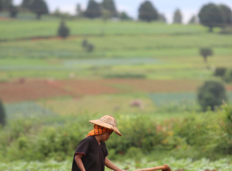 Groepsreis Myanmar