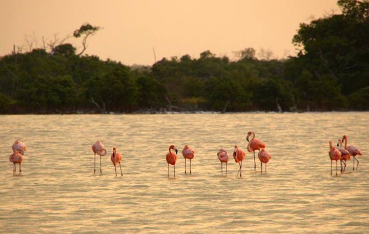 Mexico