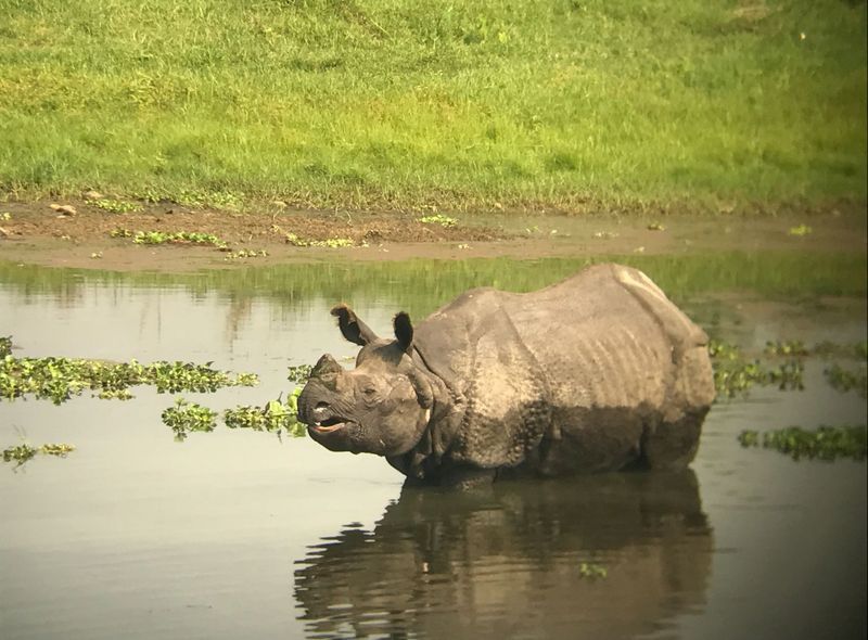 Nepal