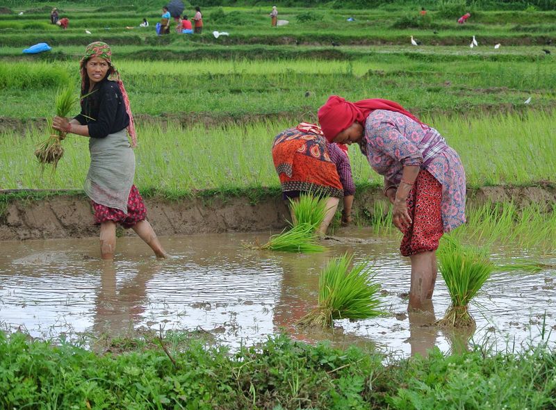 Countrylife groepsreis Nepal