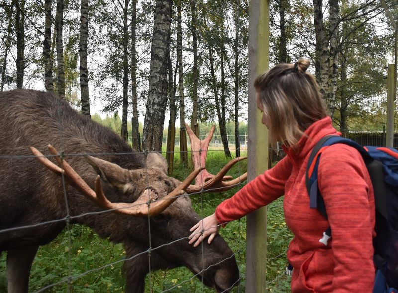 Groepsreis Zweden, Denemarken