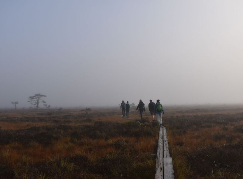Groepsreis Zweden, Denemarken