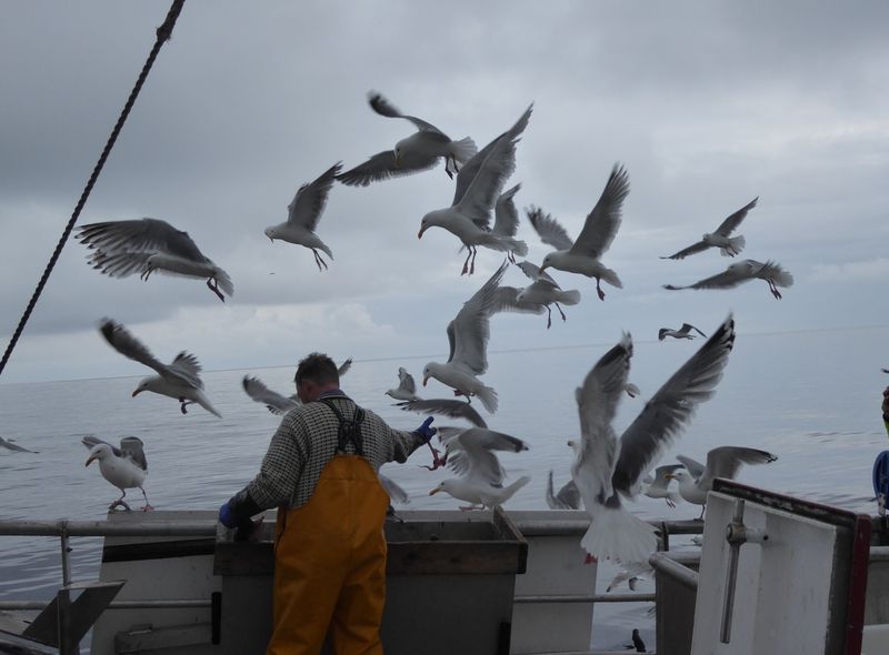 Groepsreis jongerenreis Noorwegen