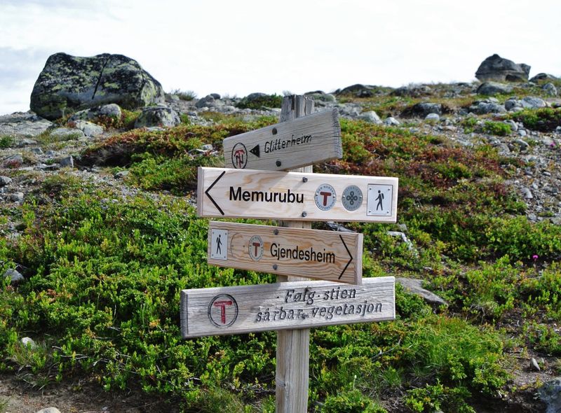 Groepsreis Jongerenreis Noorwegen