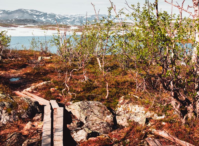 groepsreis Noorwegen, Zweden, Finland