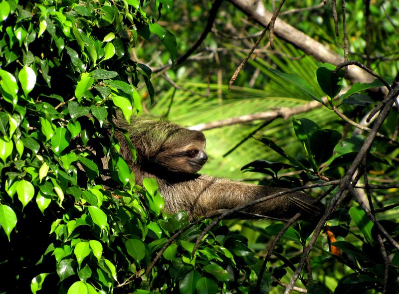 Groepsreis jongerenreis Costa Rica en Panama