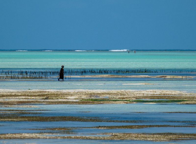Tanzania & Zanzibar