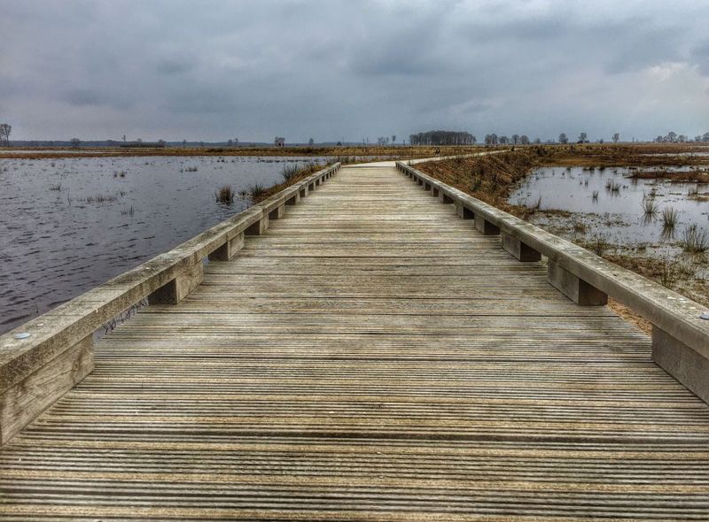 fietsreis Nederland