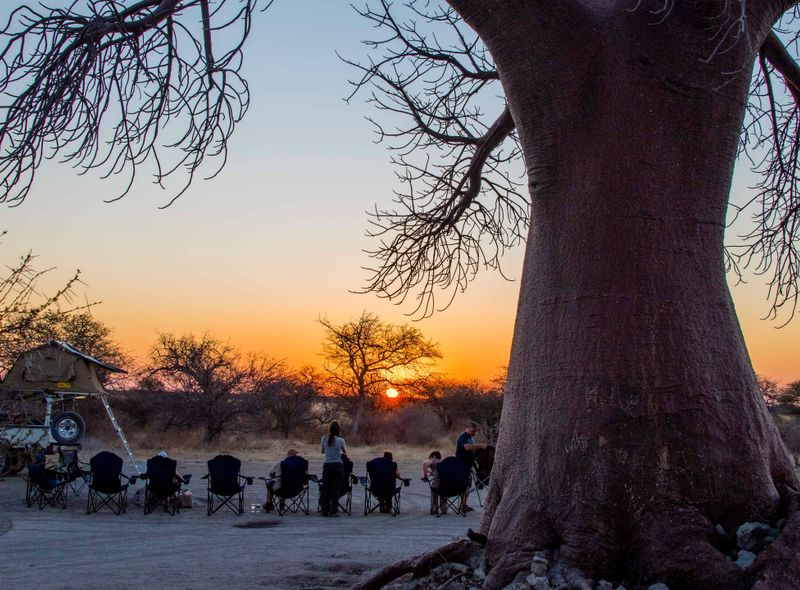 dwars door Zuid-Afrika Botswana Zimbabwe safari