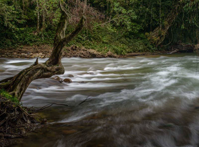 Colombia