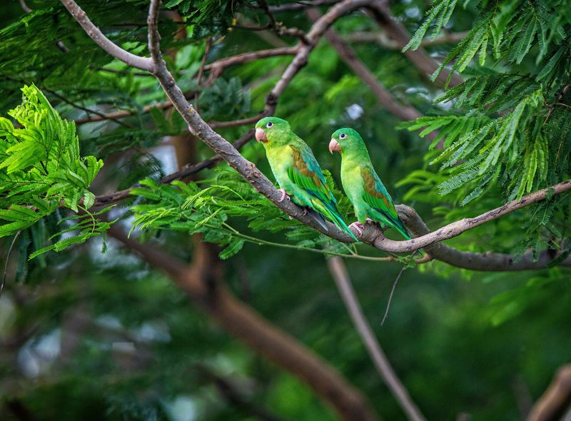 Groepsreis Nicaragua