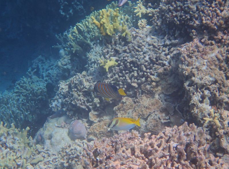 Indonesië - Java, Bali, Nusa Lembongan