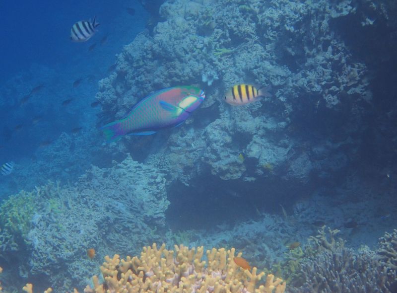 Indonesië - Java, Bali, Nusa Lembongan