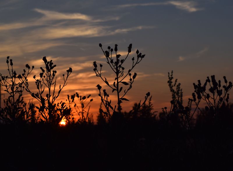 Groepsreis Litouwen Letland Estland