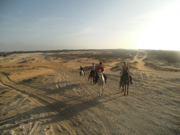 wandeling in zand Senegal groepsreis Afrika Dakar paardentocht