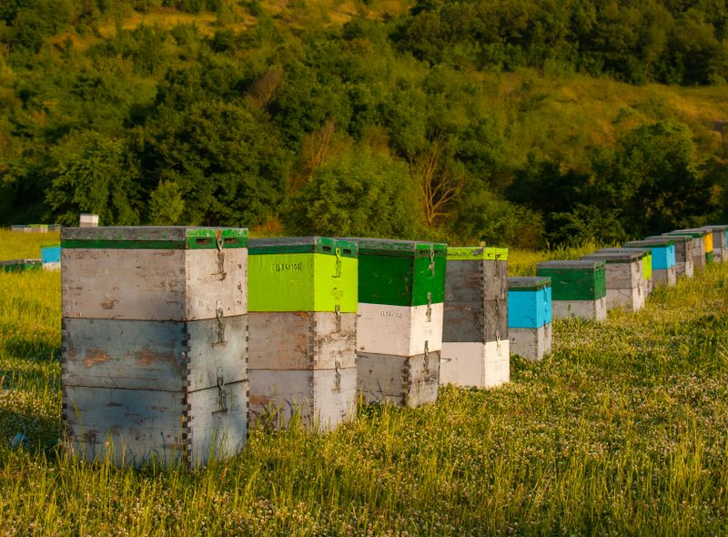 Groepsreis Griekenland Peleponnesos Comfort 