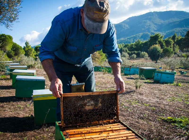 Groepsreis Griekenland Peleponnesos Comfort 