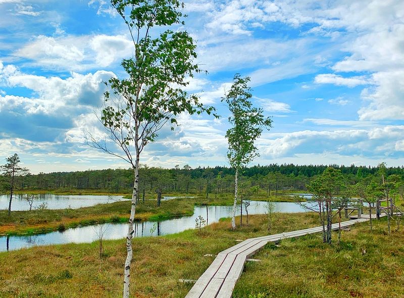 Groepsreis Litouwen Letland Estland