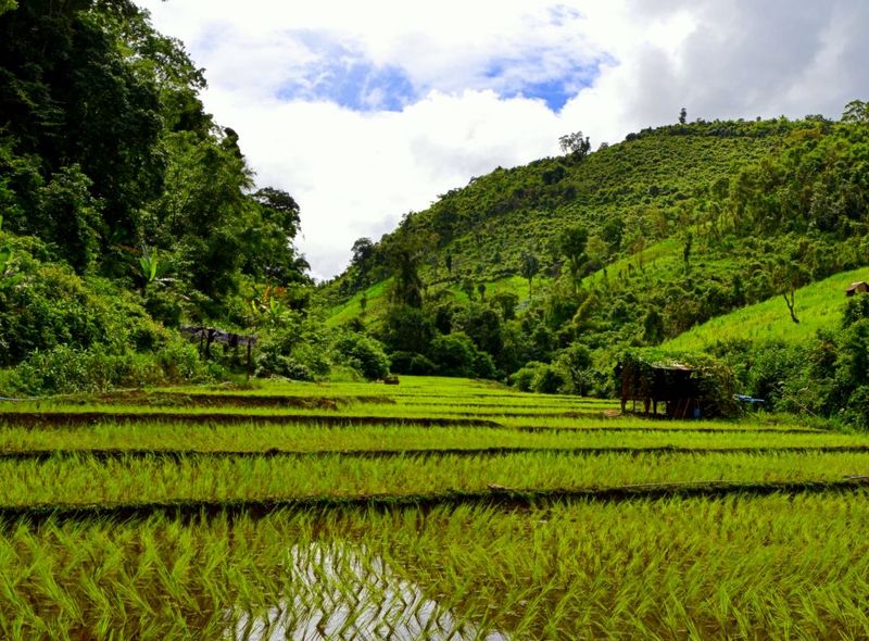 Thailand