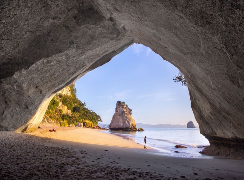 The Coromandel
