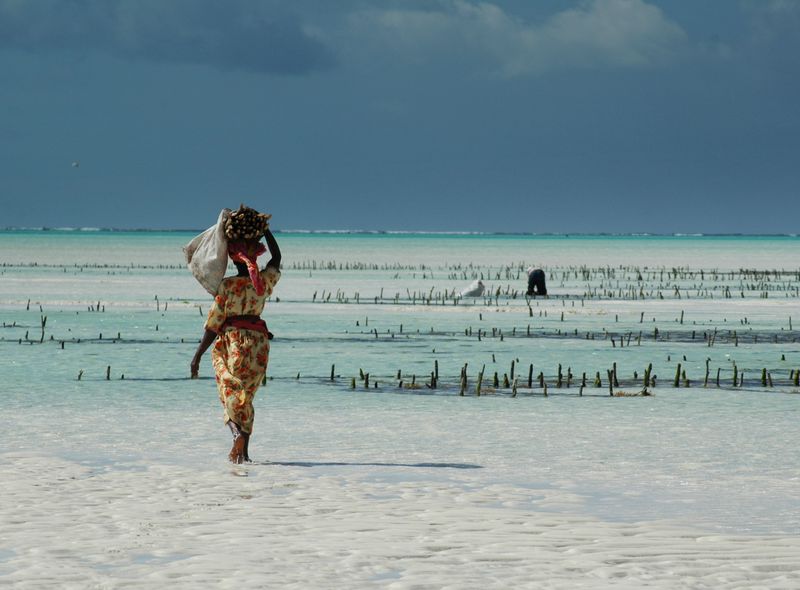 Zanzibar Jambiani en Paje