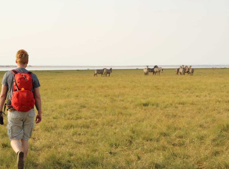 Fietstocht Lake Manyara Mto wa Mbu zebra's