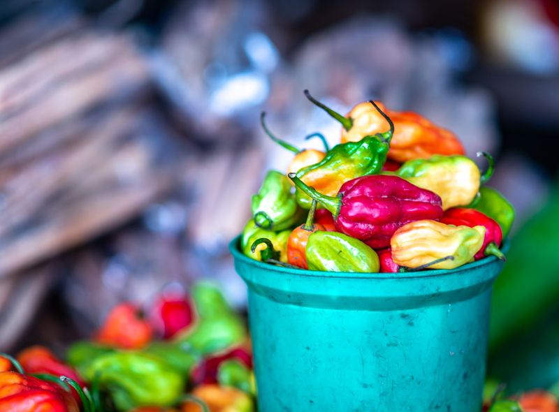 groepsreis Tanzania safari Joker Zanzibar