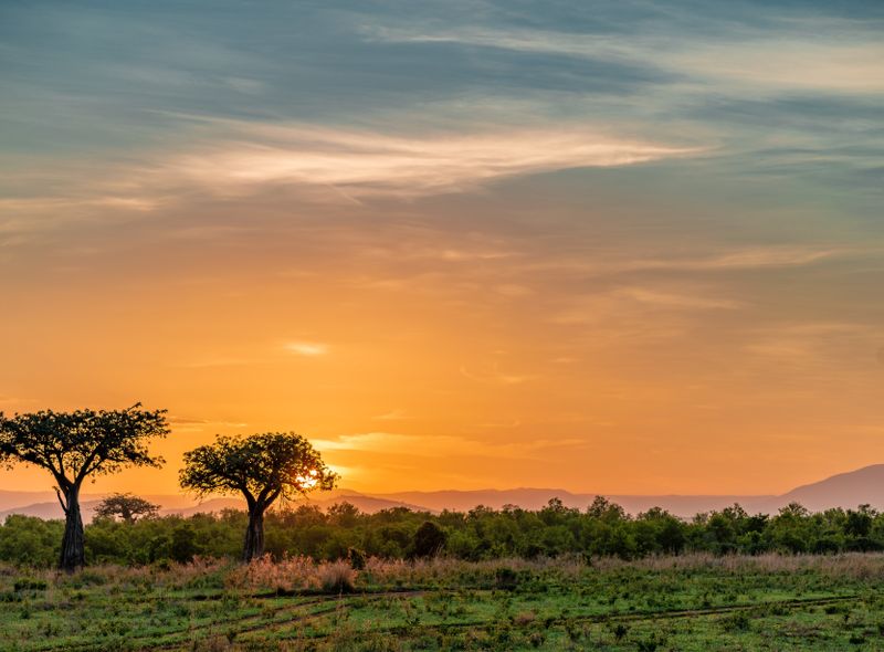 groepsreis Tanzania safari Joker Zanzibar