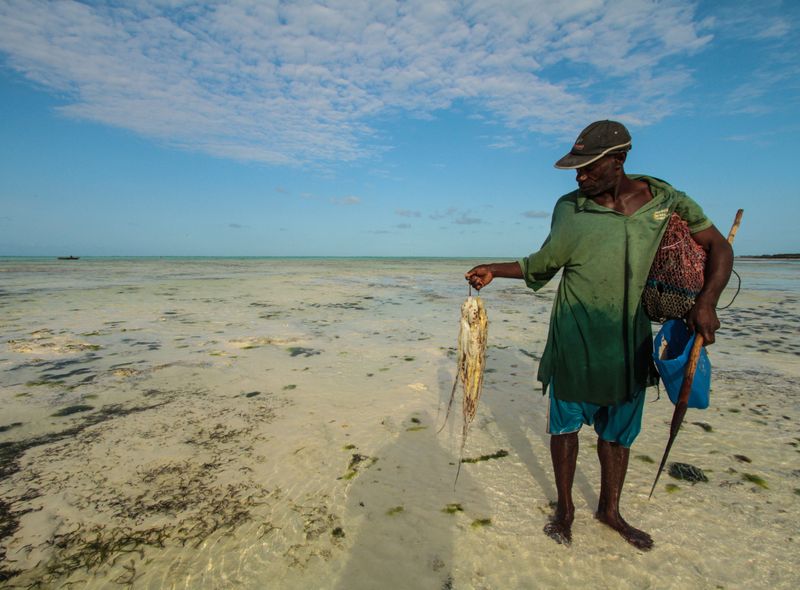 Visser Zanzibar Paje en Jambiani