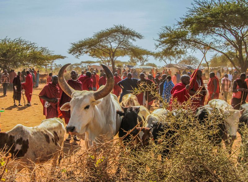 Tanzania Longido veemarkt Masaï
