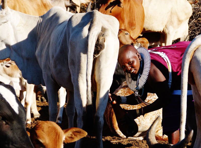 Tanzania &amp; Zanzibar 26-30