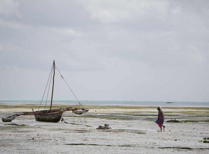 Tanzania &amp; Zanzibar 26-30