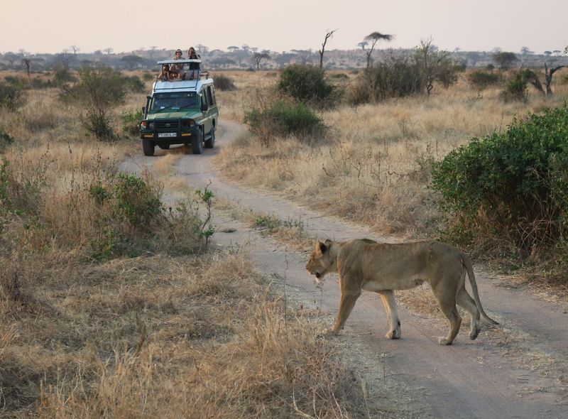 Tanzania & Zanzibar