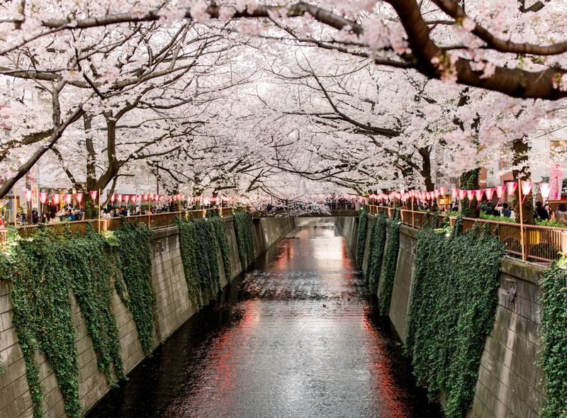 Groepsreis Japan