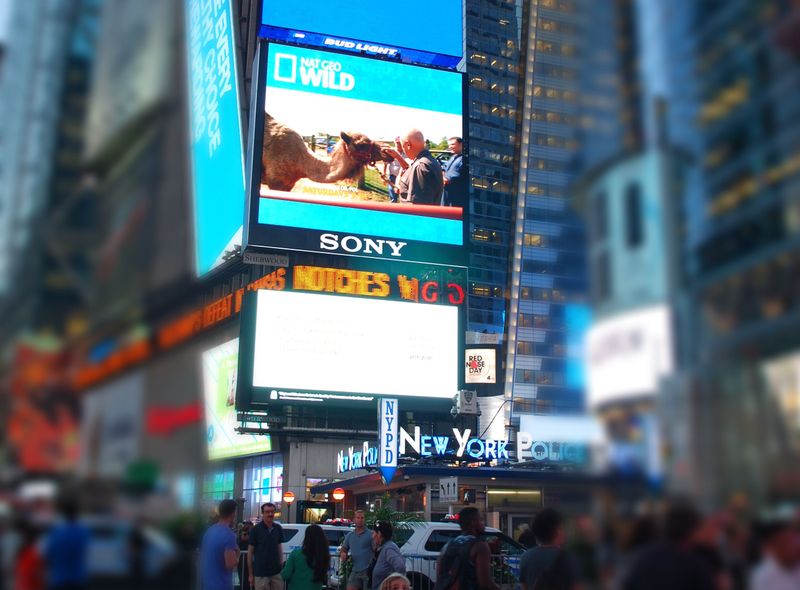 Times square