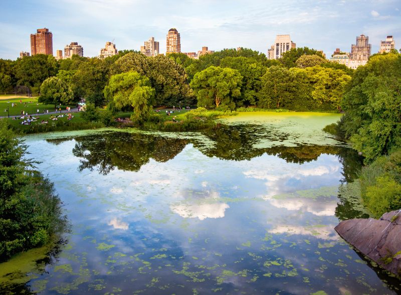 Central Park