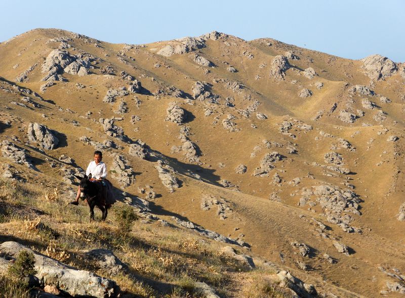 Groepsreis Oezbekistan